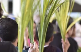 Celebración del Domingo de Ramos.