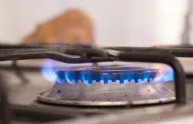 Imagen de referencia.