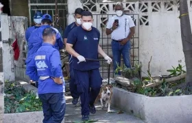 Recuperación de animales en vivienda del norte. 