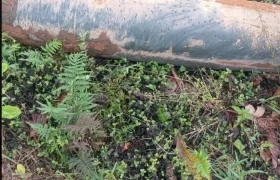 La bomba hallada en la frontera.