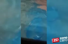 La extraña mancha azul en el río Magdalena. 