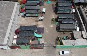 El pequeño parqueadero que tienen los mayoristas de guineo para distribuirlo y venderlo. 