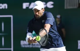 El tenista serbio Novak Djokovic.  