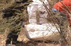 Imagen de referencia. 