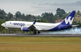 Aerolínea Wingo.