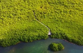 Zona verde de San Andrés atendida por Coralina