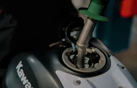 Imagen de referencia. 