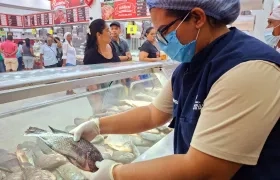 Personal de la Secretaría de Salud hace inspecciones de los alimentos en comercios. 
