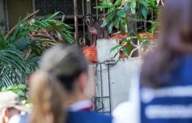 Operativo de las autoridades en casa del norte.