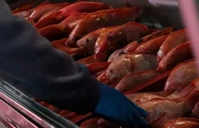 Se prevé un comportamiento estable de los precios durante Semana Santa.