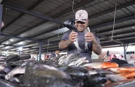 La Plaza del Pescado está ubicada en la ubicada en la calle 8 con carrera 42, en el sector de Barranquillita. 