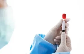 Imagen de referencia.