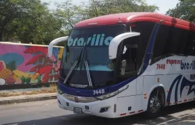 Buses que prestan sus servicios en la Terminal de Transporte. 