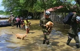 Imagen de referencia.