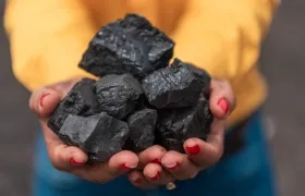 Imagen de referencia.