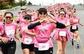 Imagen de referencia.