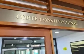 Corte Constitucional.