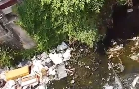 Arroyo León donde encontraron el cuerpo. 