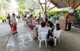 Imagen de referencia.