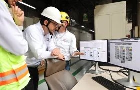 Imagen de referencia.