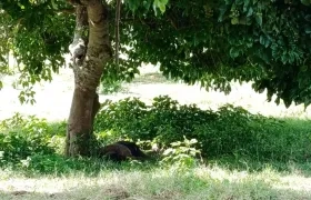 Sector La Playa, zona rural del municipio de Campo de la Cruz. 