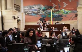 Plenaria de la Cámara de Representantes.