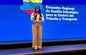 Mariantonia Tabares Pulgarín, directora general de la Agencia Nacional de Seguridad Vial.