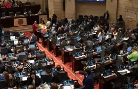 Plenaria de la Cámara de Representantes. 