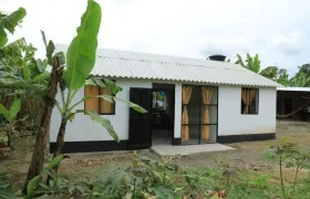 Imagen de referencia.