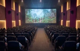 Imagen de referencia.