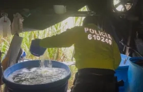 Autoridades durante el operativo de incautación de droga. 