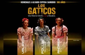 'Los gaticos'.
