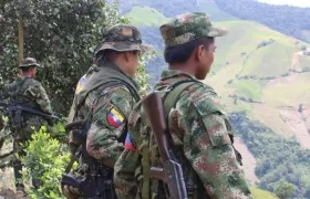 Disidencias de las FARC. 