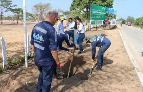 Imagen del operativo.
