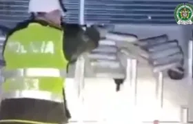 Incautación de la droga. 
