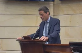 Mauricio Gómez Amín.