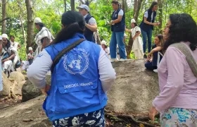 ONU Derechos Humanos.