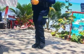 Jenyfer Alexandra Marciales Londoño. 
