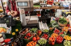 Seguridad alimentaria