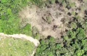 Zona bombardeada por las Fuerzas Militares.