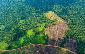 Crisis ambiental y de seguridad en la Amazonía amenaza a comunidades indígenas.