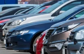 La viceministra de Comercio buscar "atraer" más capital francés en el sector automotriz