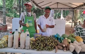 Festival Frutos del Campo. 