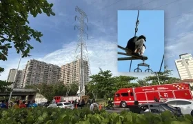 Lugar en donde se encuentra el hombre en lo alto de la torre de energía