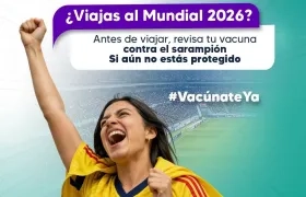 Si viajas a Estados Unidos, México o Canadá confirma si el carnet cumple con el esquema de vacunación. 
