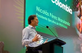 Nicolás Pérez Marulanda, presidente Ejecutivo de Fedepalma.