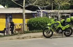 Ataque en el barrio Miramar. 