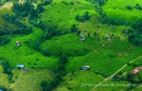 Zona de cultivos de coca.