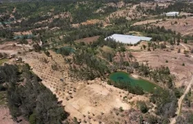 Podría ser 'El Niño' más intenso registrado desde 1950.
