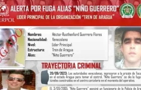 Alias 'Niño Guerrero'